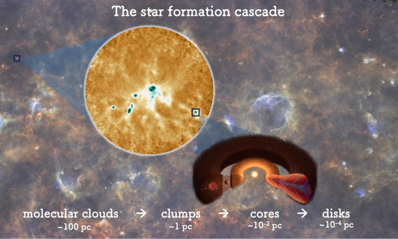 Le culle delle stelle