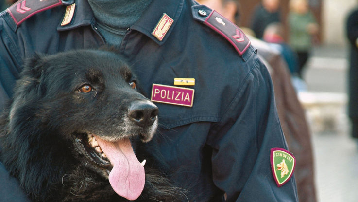 Unità Cinofila